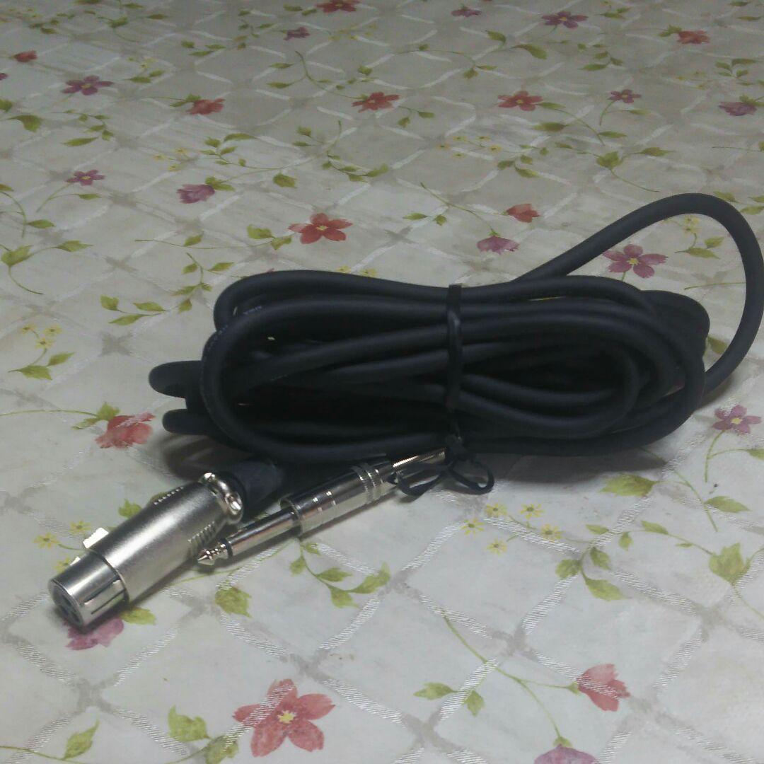 AIWA　ボーカル　マイクロホン　DM-S5D　カラオケ　歌　演歌　宴会