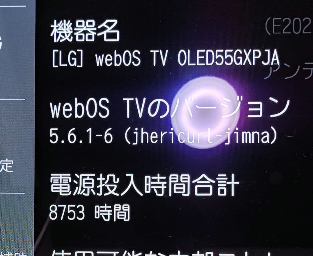 有機EL 55インチ テレビ LG OLED55GXPJA