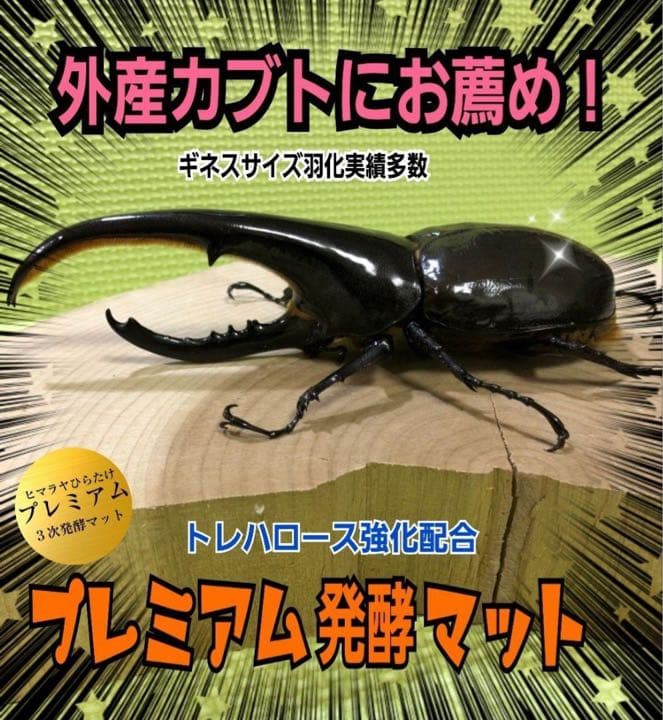 大人気！雑虫がわかない！完全室内製造！極上！プレミアム発酵カブトムシマット　8袋
