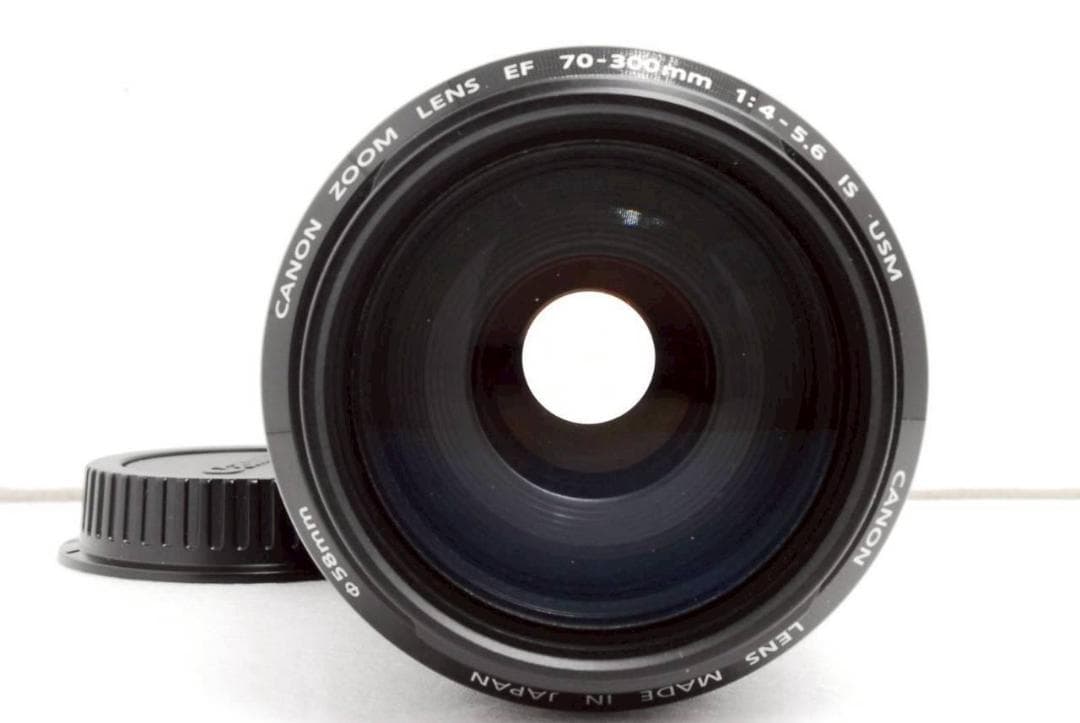 Canon EF 70-300mm F4-5.6 IS USM ✨ 超望遠レンズ