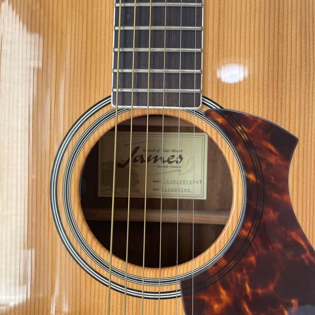 ✨James j-500a/ova nat✨　エレアコ仕様　ソフトケース他付き