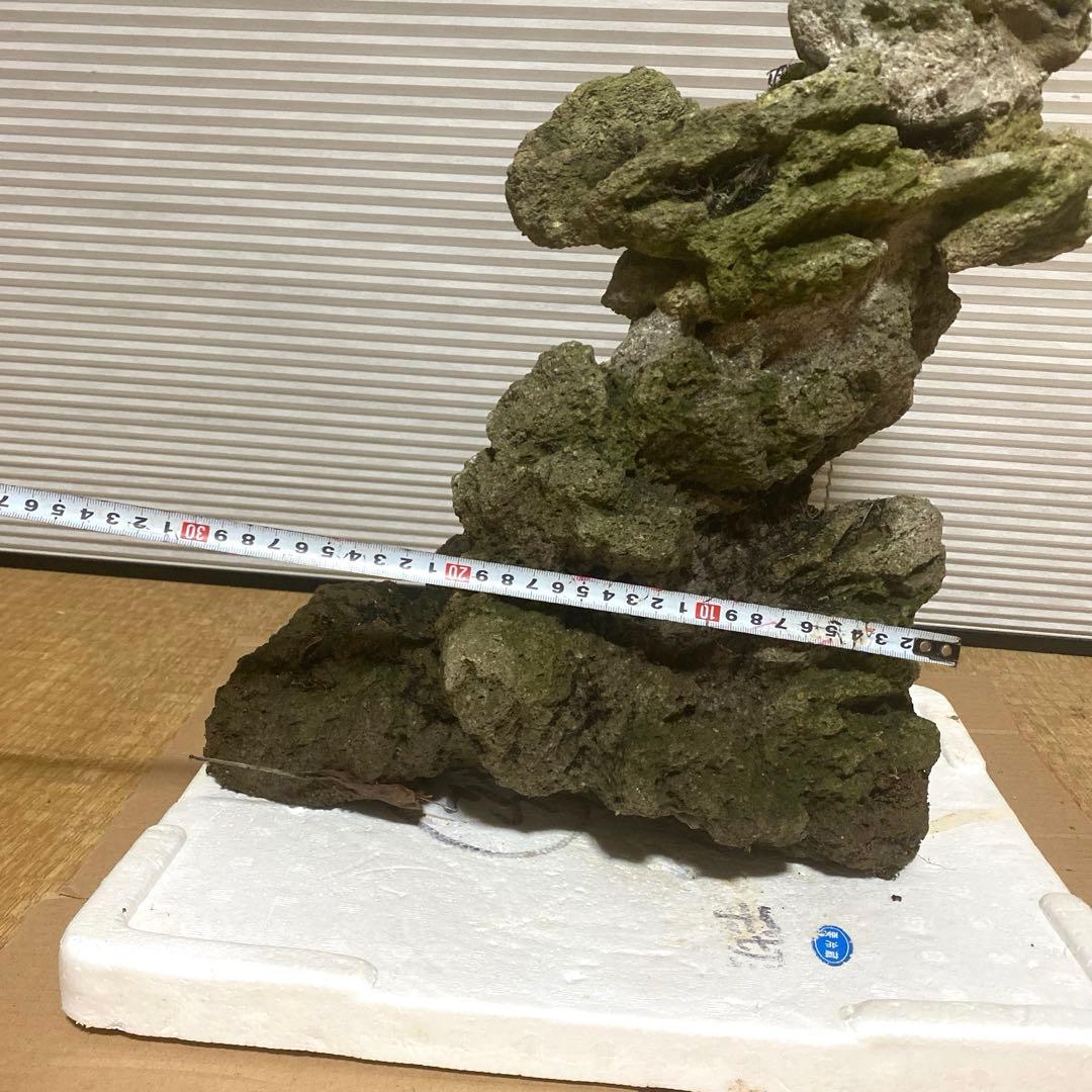 【美形】軽石　岩石　水槽　装飾 アクアリウム　NO3