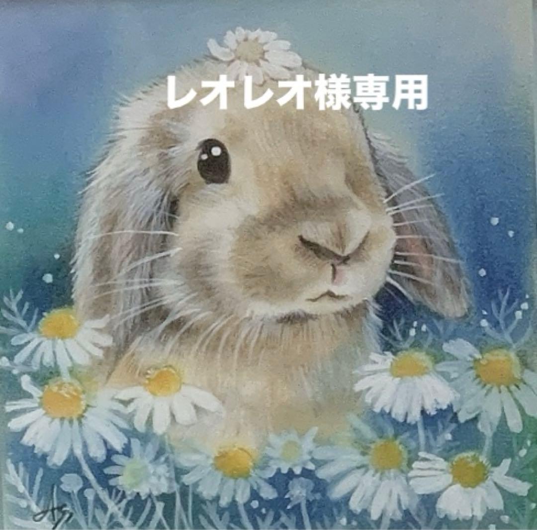 ⭐️数量限定❗️SALE❗️⭐️バニセレプロヘアボールコントロール＋試食品プレゼント他