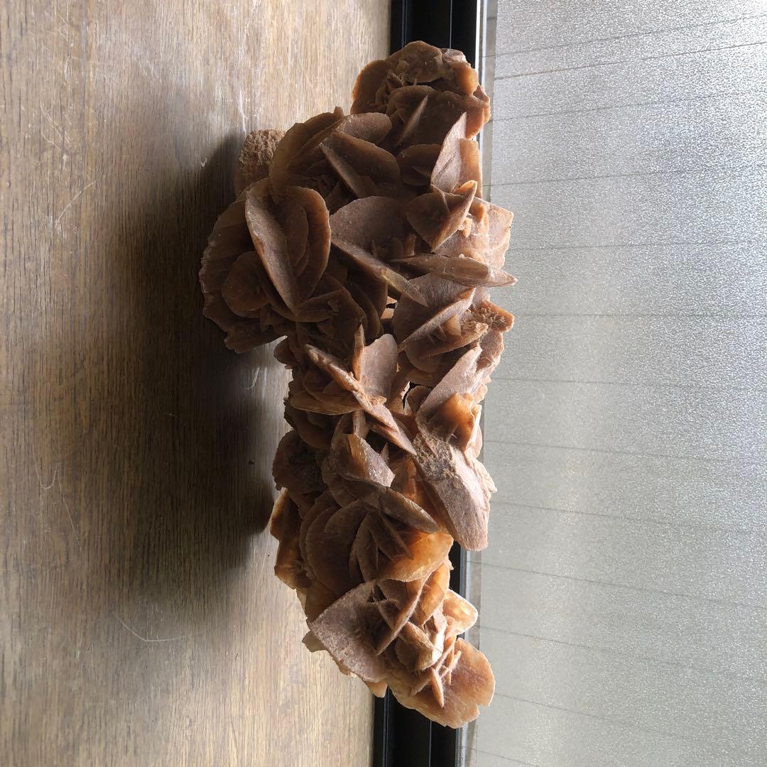 サハラの薔薇