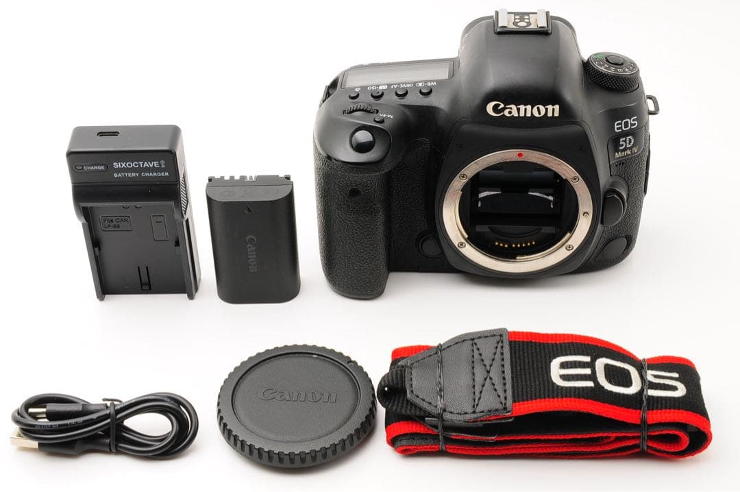 ◆シャッター回数:16,800回◆ Canon EOS 5D Mark IV