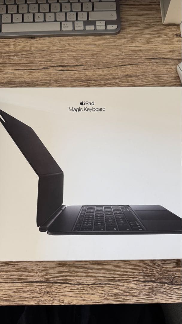 iPad Pro 13インチ（2024年モデル）M4チップ・シルバー・256GB