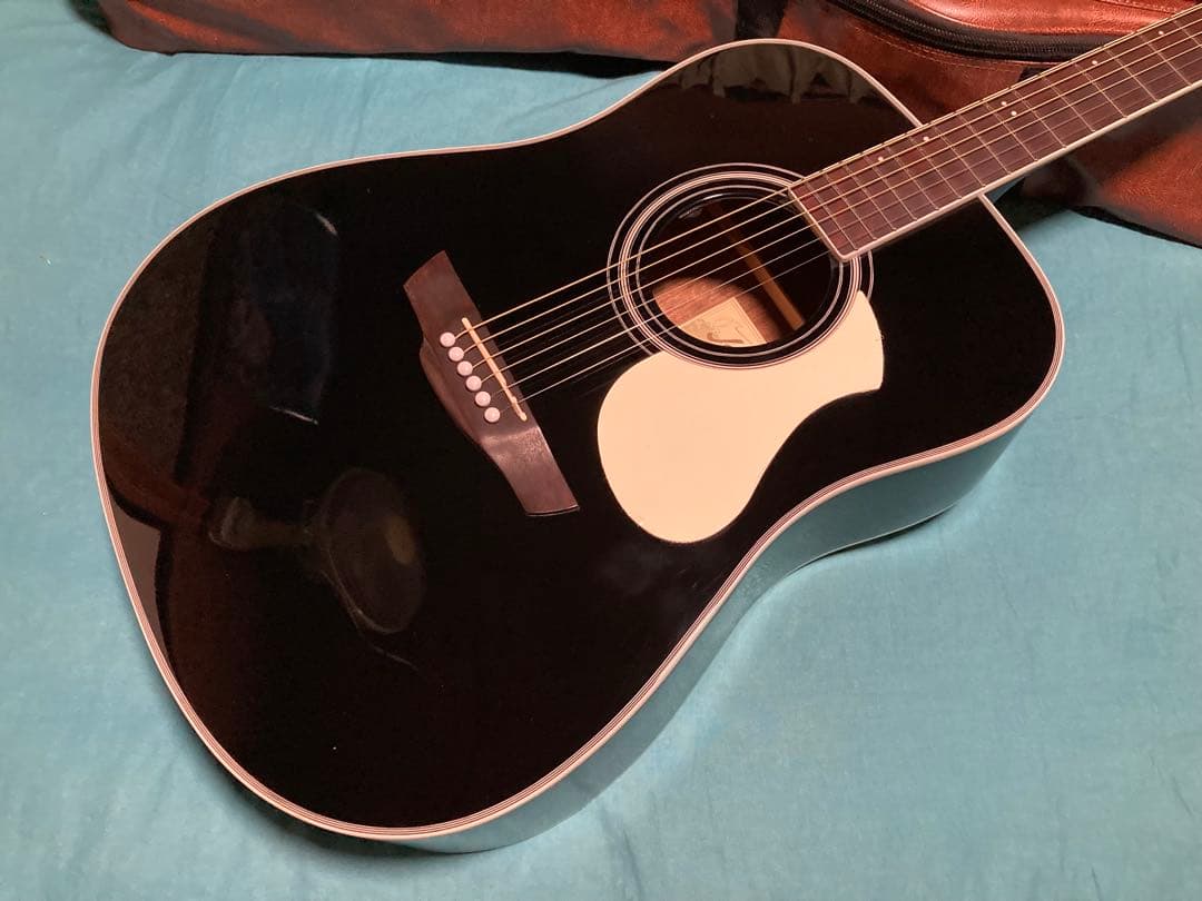 James J-450D/Ova BLK ジェームスエレアコギター