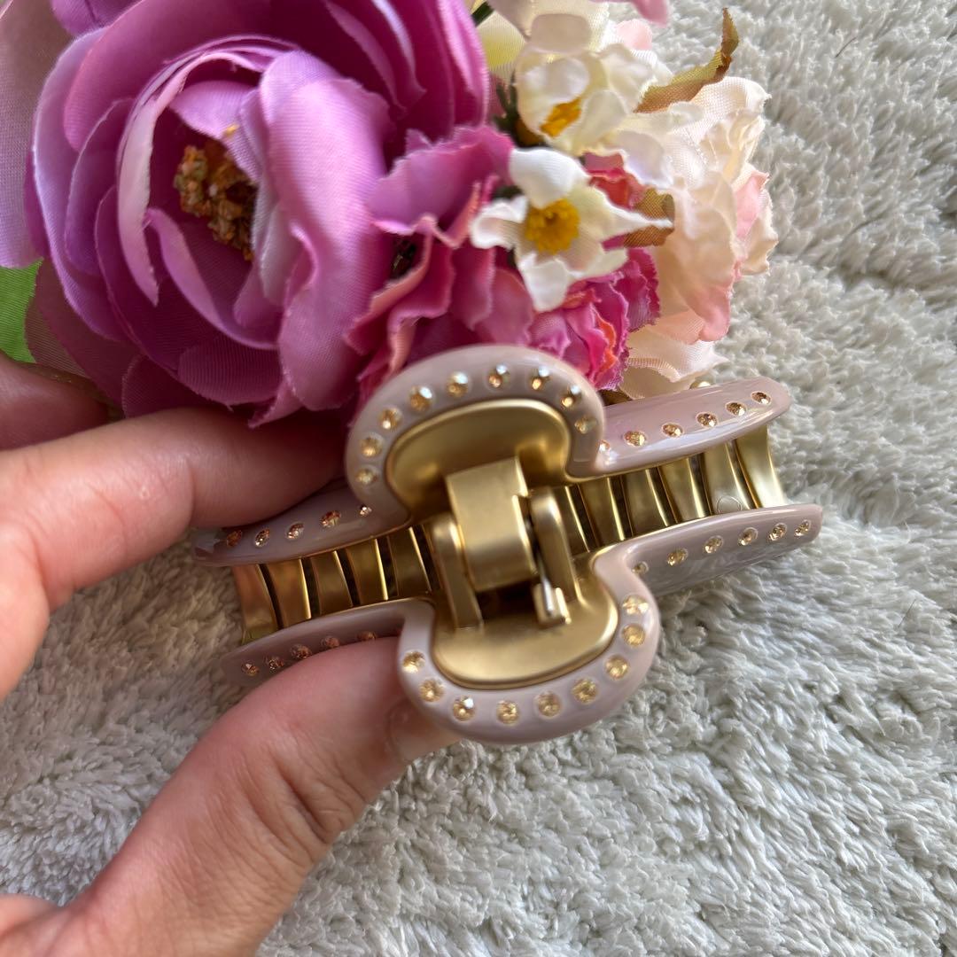 ✴︎美品✴︎アレクサンドルドゥパリ ヴァンドームクリップ Mクリップ