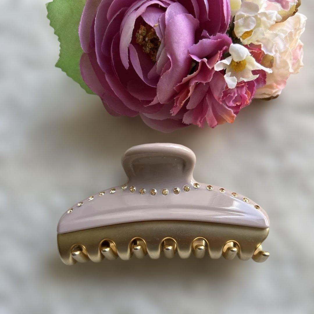 ✴︎美品✴︎アレクサンドルドゥパリ ヴァンドームクリップ Mクリップ