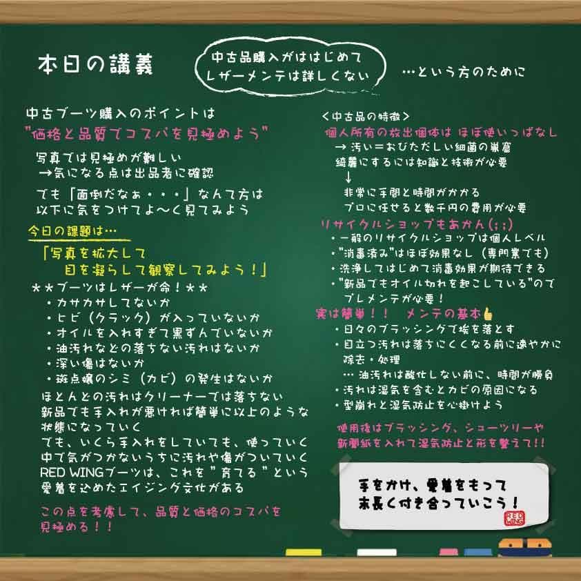 靴 RED WING 6-inch Classic Moc #8875 US 7 E