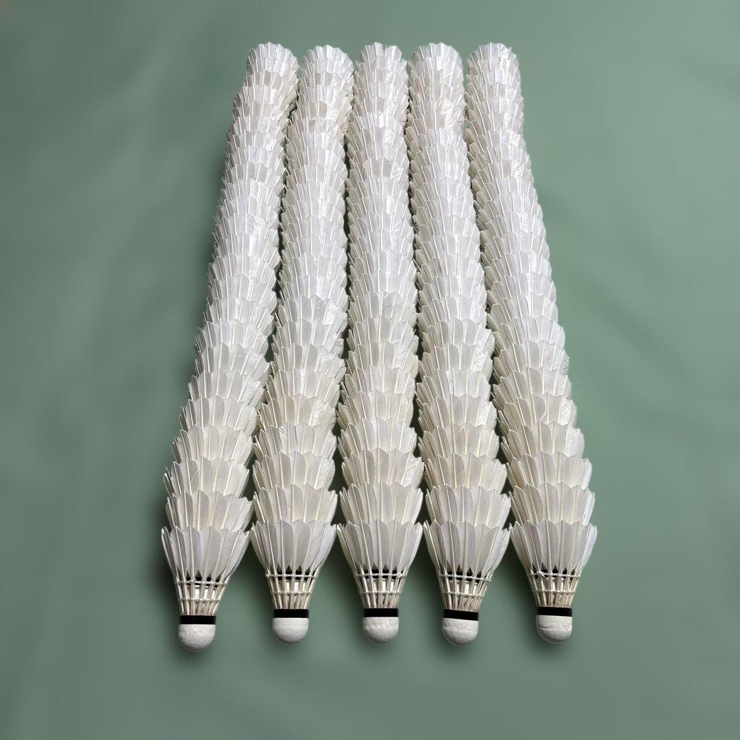 バドミントンシャトル ノック、トスバッティング用 205