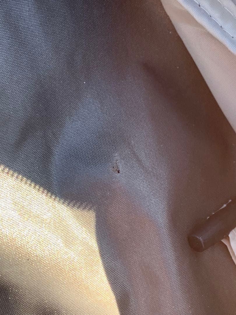 ⭐︎なおき⭐︎ ゼインアーツ　ゼクーM テント　キャンプ　設営確認済