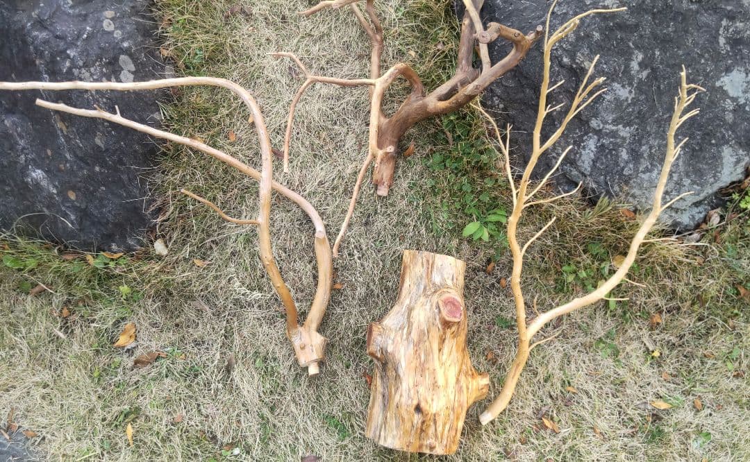 バードアスレチック　鳥用止まり木