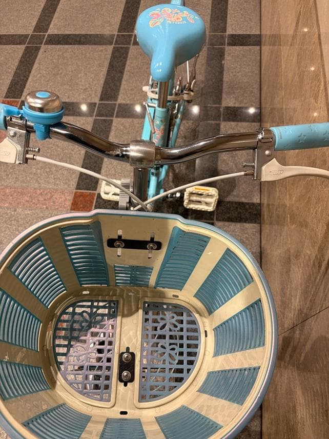 ブリジストン　エコパル-22インチjunior-手渡しのみでお願いします