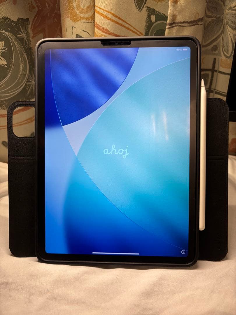 iPad Pro 11 第3世代 256GB + Pencil2 + カバー付