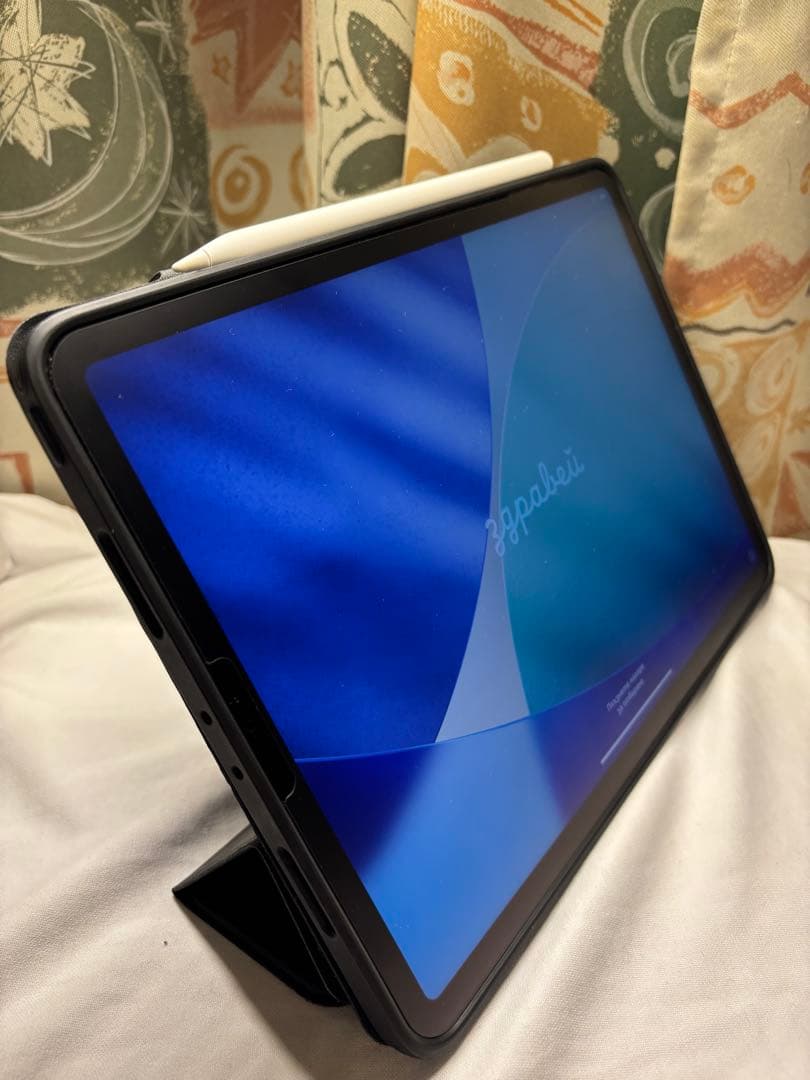 iPad Pro 11 第3世代 256GB + Pencil2 + カバー付