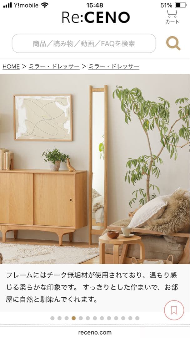 HOKOS スリムミラー リセノインテリア