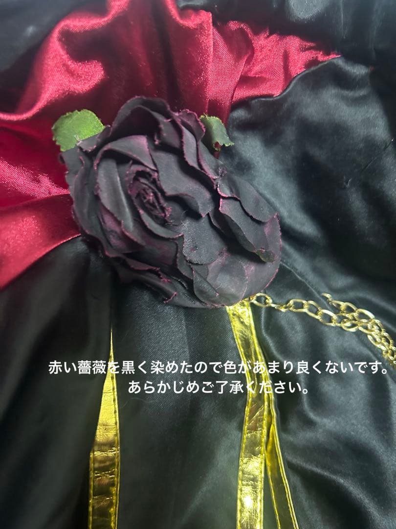 【8日まで値下げ】にじさんじ　サーニャ　コスプレ衣装