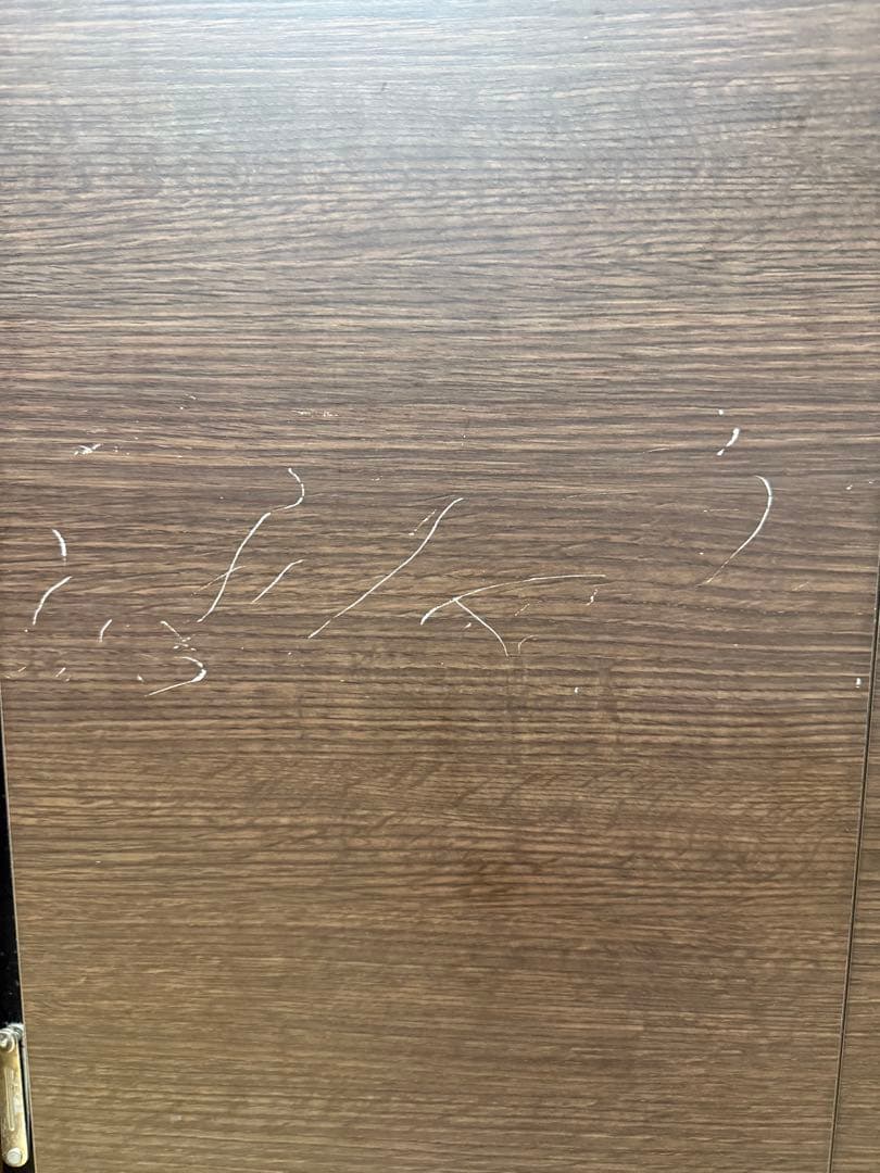 【値下げ応相談】ディノス　扉付き本棚（高さ230×幅100×奥行45）