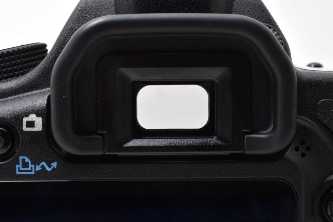 《ショット数4,899回 》 Canon EOS 5D MARK II #785