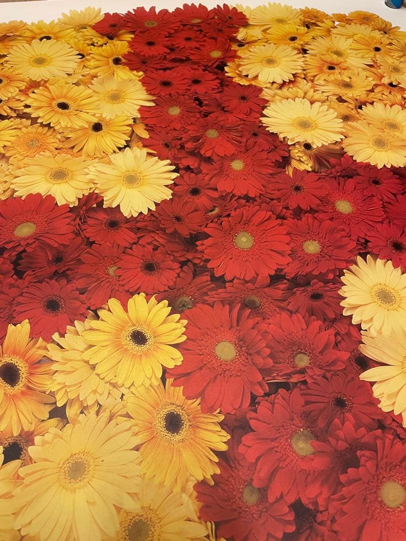 GENERAL RESEARCH ポスター