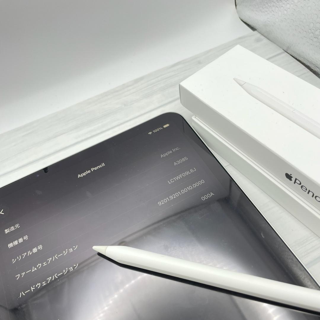 動作確認済み！【美品】Apple Pencil USB-Cタイプ