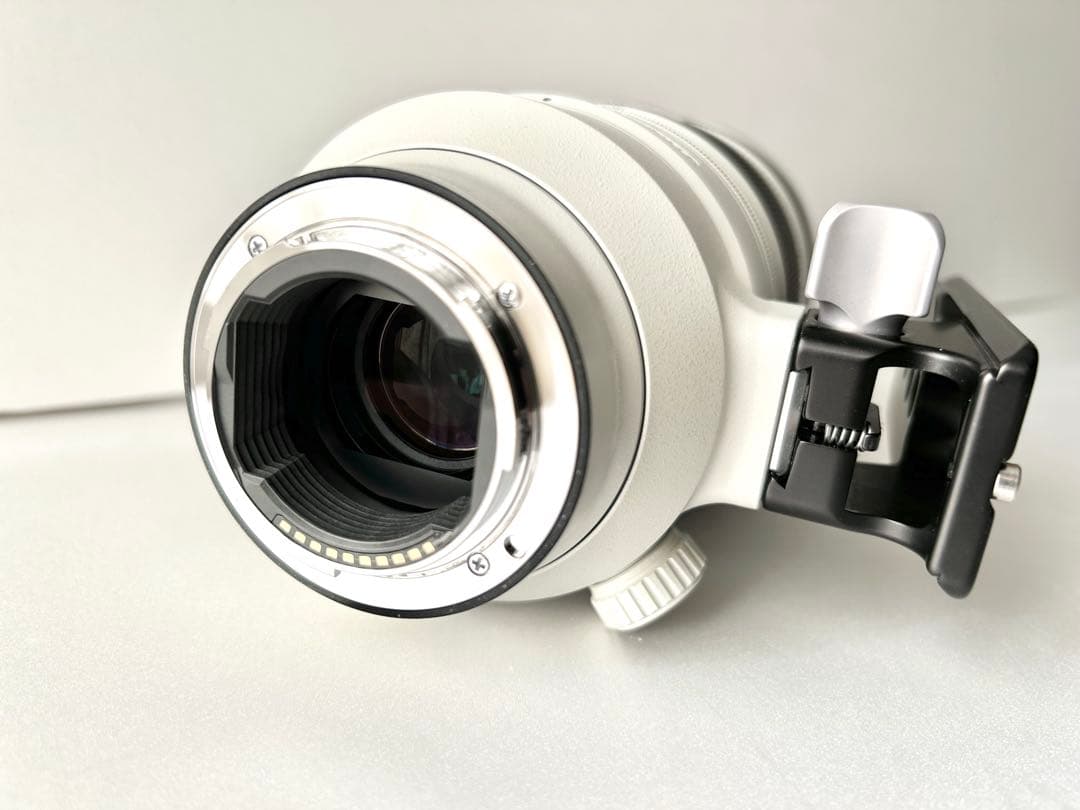 s*m様 SONY FE 100-400mm F4.5-5.6 GM OSS