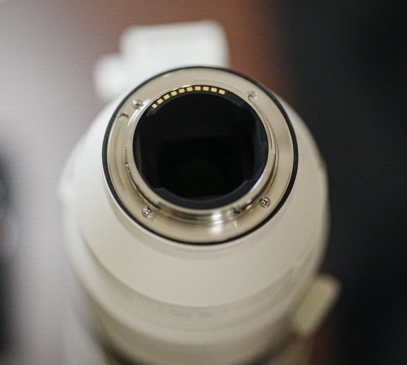 FE 200-600mm F5.6-6.3 G OSS レンズフィルター付き