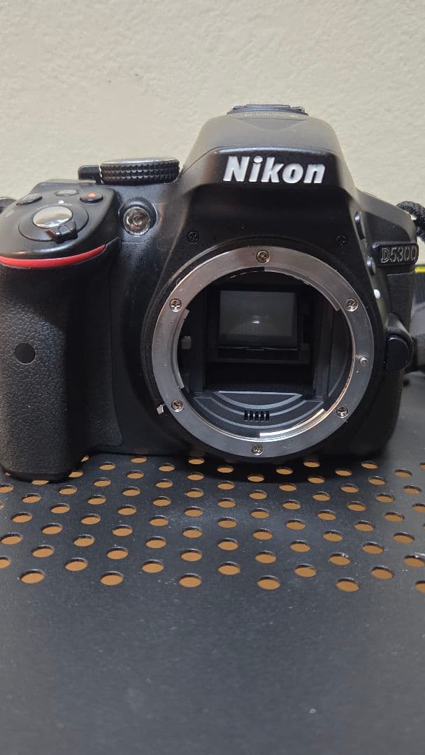 NikonD5300 ダブルズームキット2 説明書あり