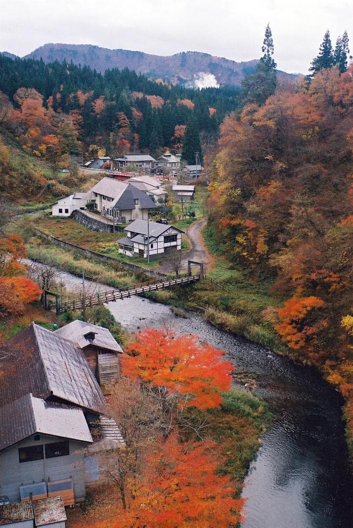 「実写確認整備品」イハゲーEXA／パンカラー50mmf2ゼブラ仕様L37付