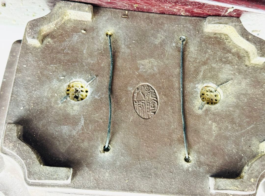 五葉松盆栽【5】