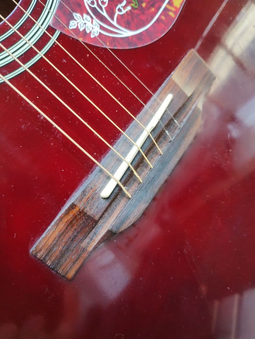 e*t様 超美品 Epiphone PRO-1 WR PU付きエレアコ