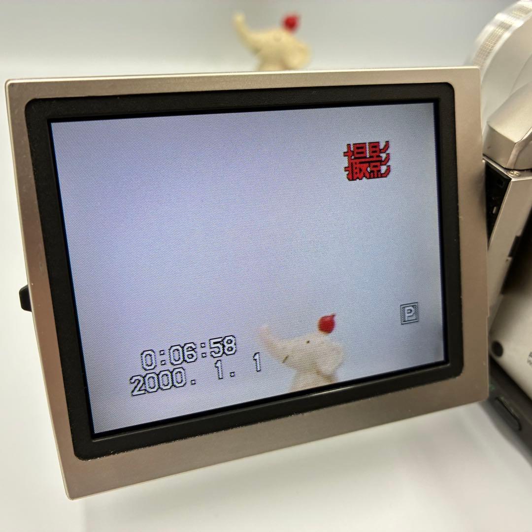 【動作確認済】Panasonic パナソニック NV-DS200 Mini DV