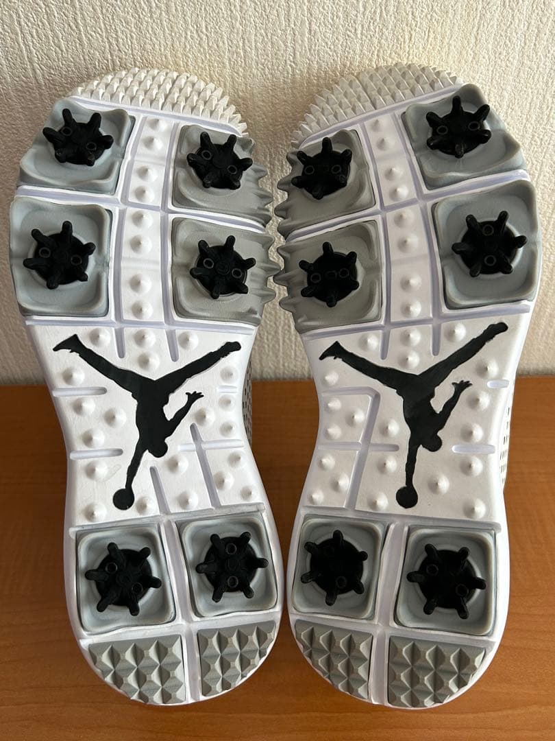 NIKE＊AIRJORDANTRAINER.G/AH7747-100/26㎝