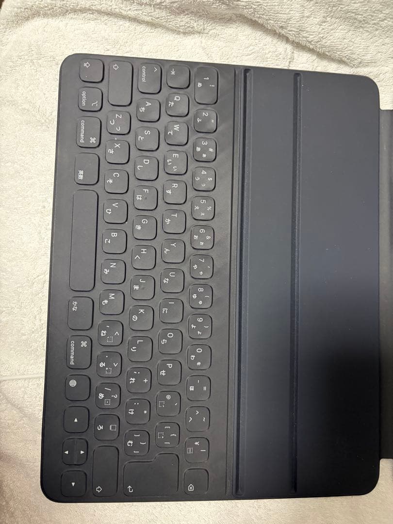 iPad Pro 12.9インチ第3世代 256GB