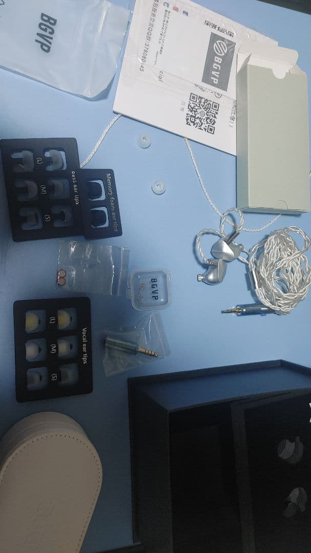 イヤホン bgvp ns10