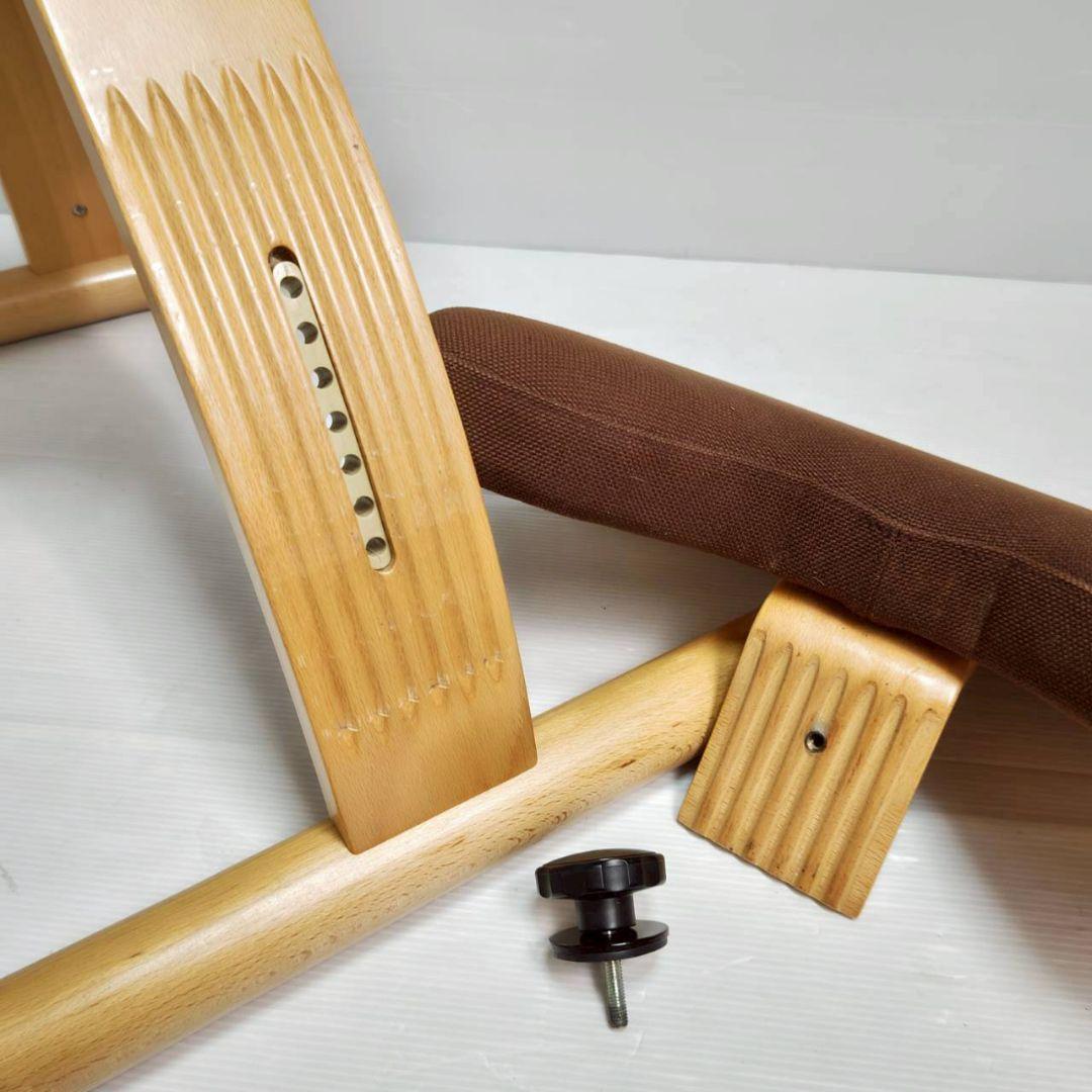 サカモトハウス リボ バランスチェア バランスイージー ブラウン