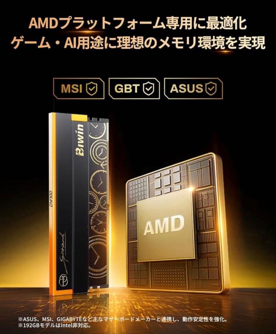 Kensei　192GBセットBiwin DW100