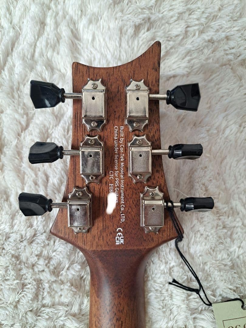 rnfjfs　新品同様　Paul Reed Smith SE P20E