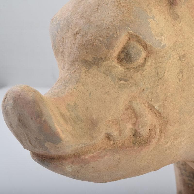 中国　加彩　豚俑　陶俑　置物　V　9049AE