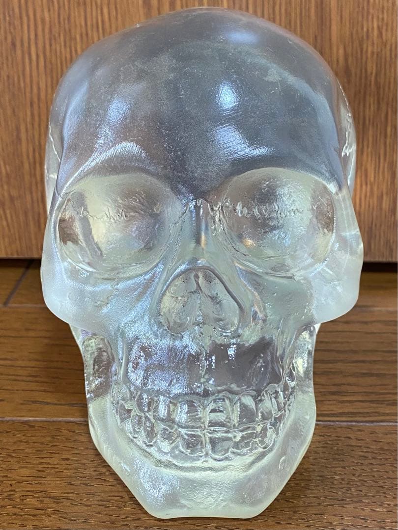 骸骨 スカル 頭蓋骨 ドクロ 髑髏 ガイコツ 置物 インディジョーンズ クリア