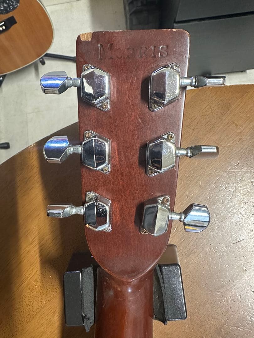 Morris(モーリス) F-20 King Gnu 常田大希氏使用モ