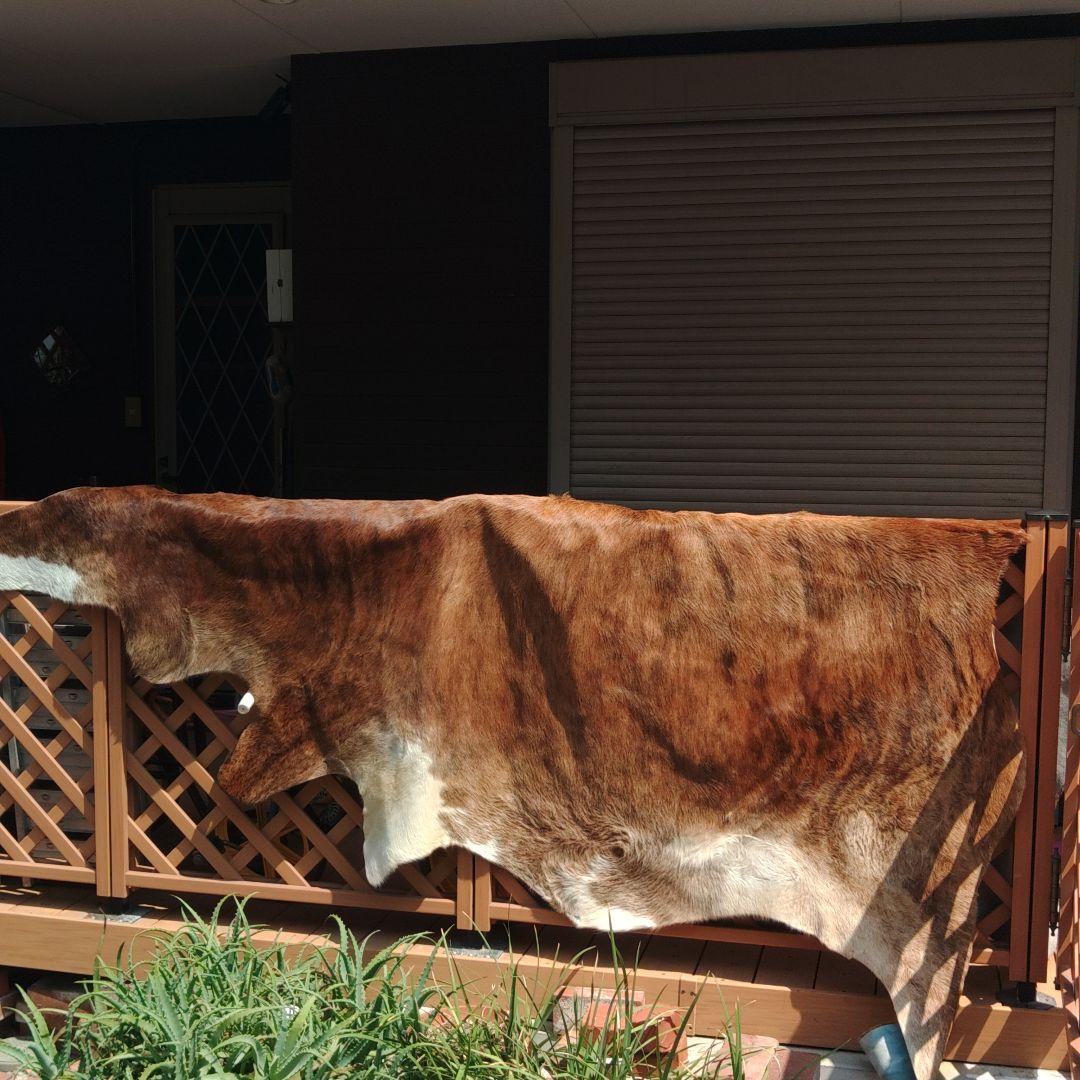 レザー　ラグ　敷物　ハラコ