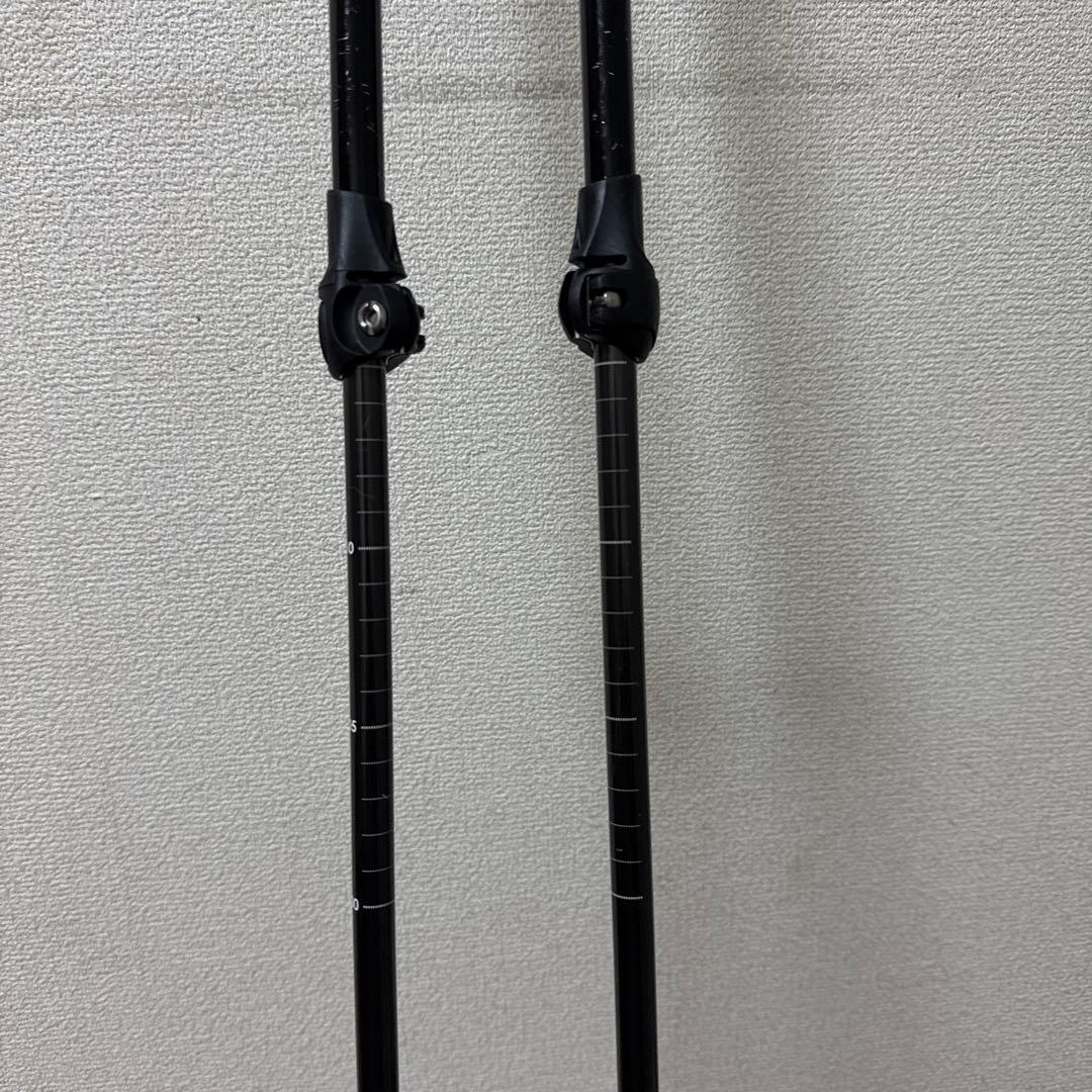 ベクターグライド　V STICK スキー　ストック