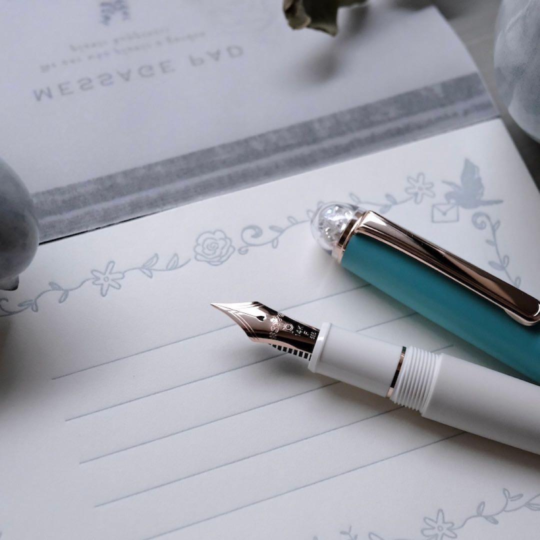 未使用　世界2000本限定　シェイプ・オブ・ハート　ブルーバード　万年筆　完品