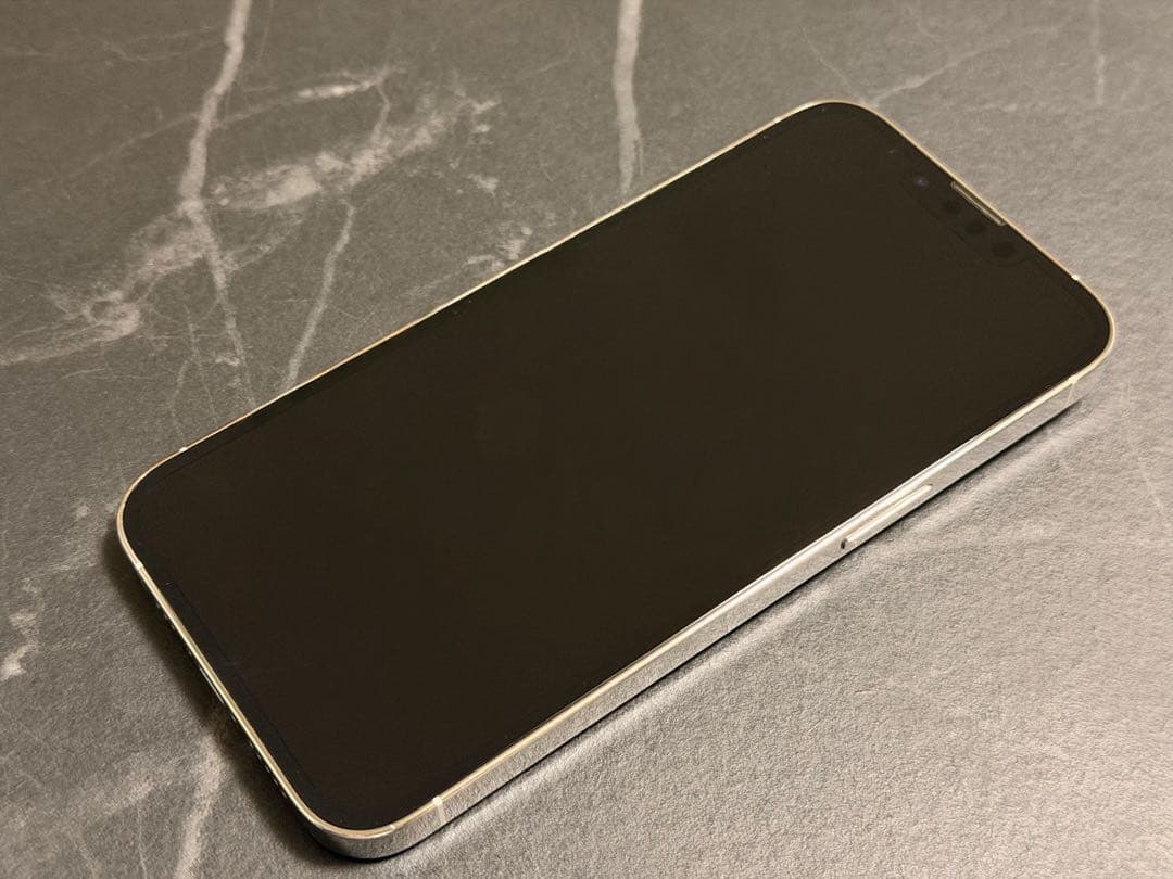 【美品・バッテリー100%】iPhone 13 Pro 1TB シルバー 本体