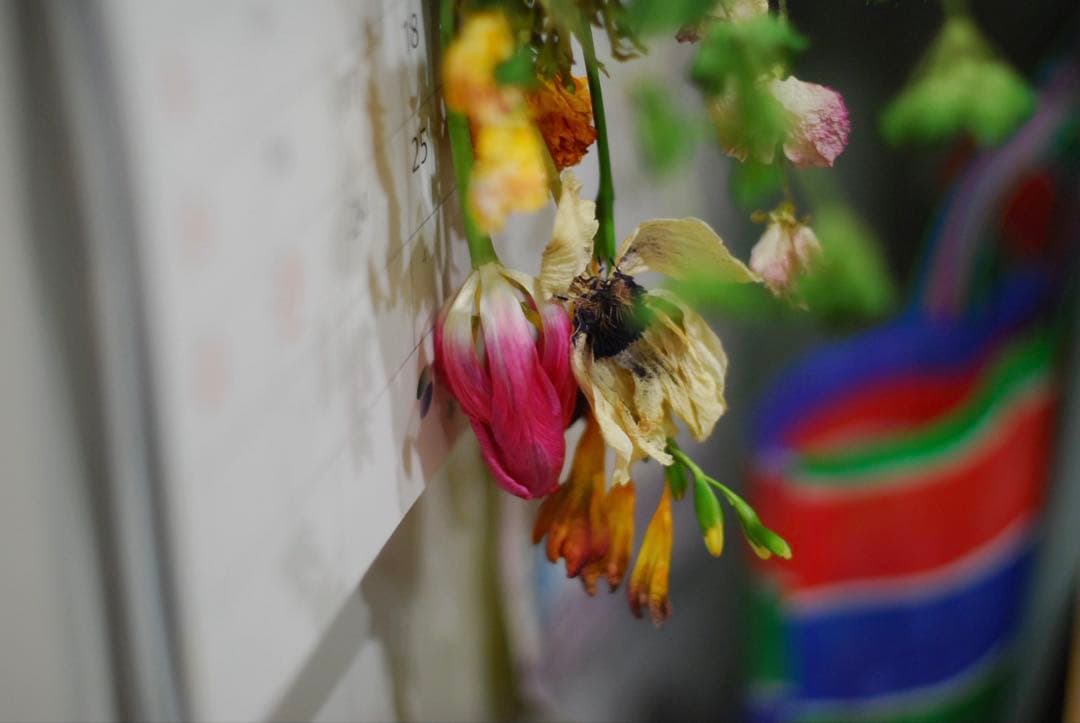 Nikon D80 CCDデジタル一眼レフ 2000枚台　動作品