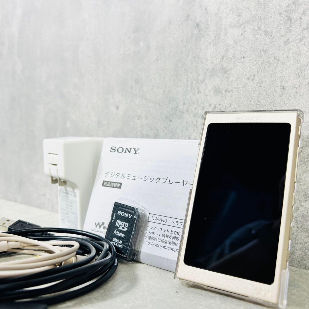 kalafina SONY ウォークマンNW-A45HN 専用クリアケース付き