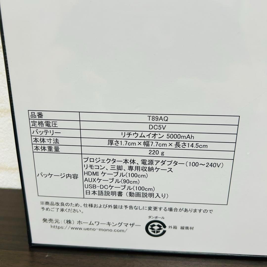 【保証付・未使用・新品】UENO-mono KABENI （カベーニ）T89AQ