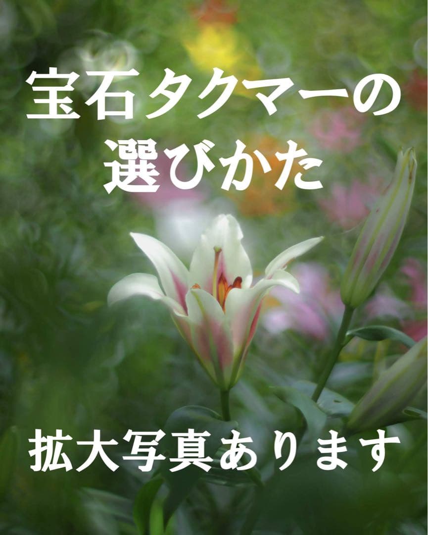 宝石レンズ_SMC_Takumar 55mm_f1.8_ay